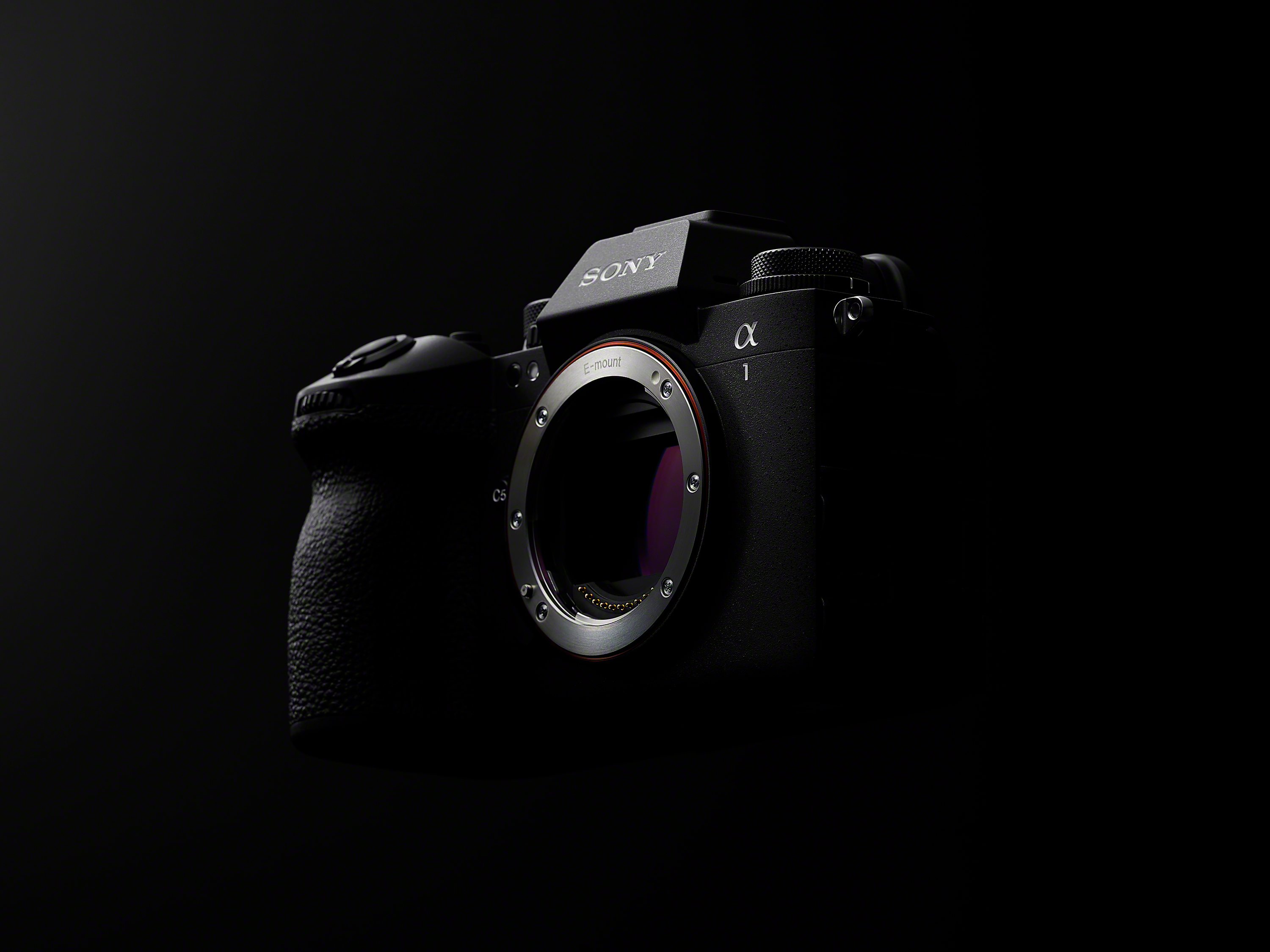 A1 II_web_image-Large